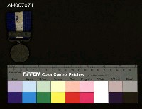 藏品(一次世界大戰從軍章)的圖片